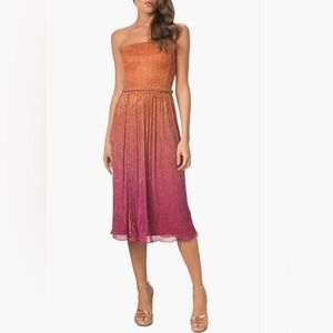 Dress the Population Haldis Metallic Ombré
Strapless Cocktail Dress Size Large